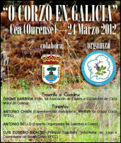 Xornada & Foro "O corzo en Galicia"