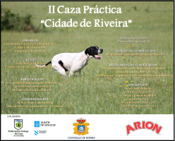 II Torneo de Cans de Parada "Cidade de Riveira"
