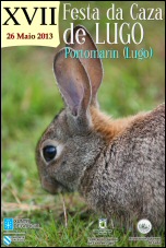 Festa da Caza de Lugo