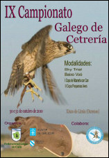 Campionato Galego de Cetrería