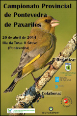 Campionato Provincial de Pontevedra de Paxariles