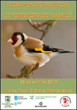 Campionato Provincial de Pontevedra de Paxariles