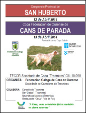 Campionato Provincial de Ourense de San Huberto