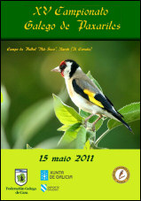 Campionato Galego de Silvestrismo